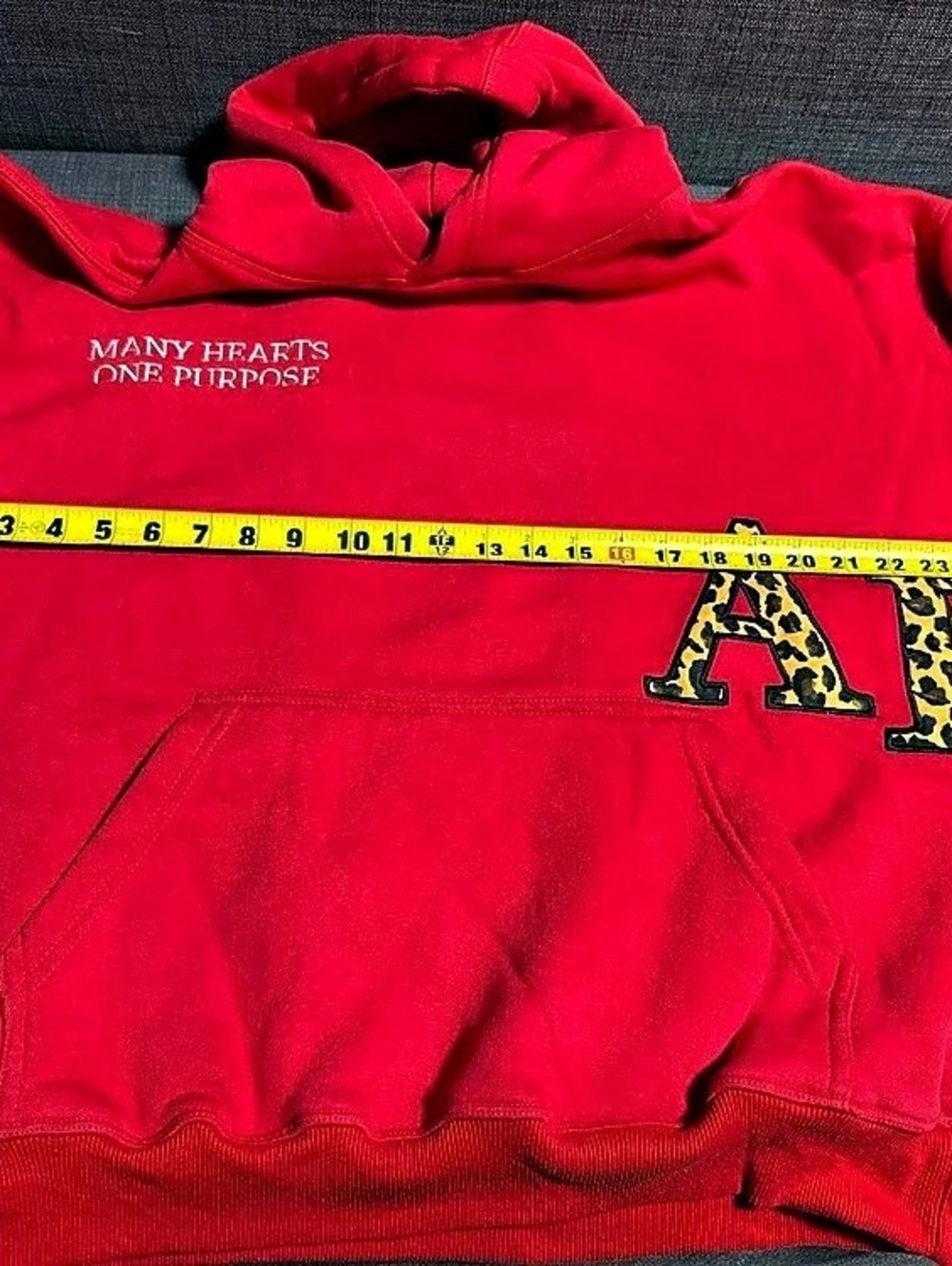 NWOT AEPHI Habits Leopard Graphic Hoodie Size Medium